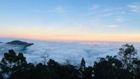 Kodai Trek & Stay - Chambres d’hôtes