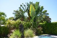 La Villa Mirabelle - Chambres d’hôtes Saint-Benoît