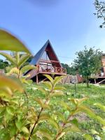 Ordu Bungalov Casa di Arte - B&B