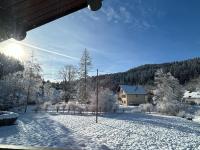 Appartement meublé T2 le G de Gérardmer - B&B
