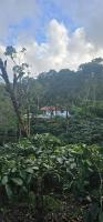 Vintara Homestay - B&B Madikeri