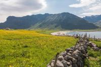 Charming house in fjord Lofoten - B&B Slydalen