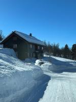 Spacious cabin with beautiful Geilo views - B&B