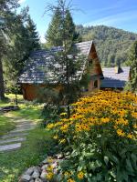 Reset Bieszczady - Bed and Breakfast Bystre
