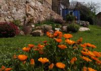 Apartamentos bioclimáticos El Mirlo Azul - B&B Cabañas del Castillo