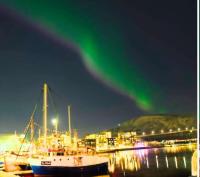 Cozy Apartment Central Tromsø - Free Parking & Wi-Fi - B&B Tromsø