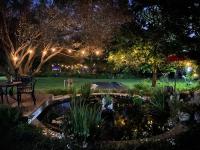 Country living in the City - B&B Midrand