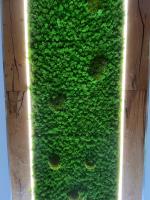 Chalmettes Lune Étoilée - B&B Montgenèvre