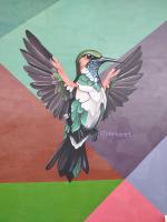 Hostal mil colores - B&B Guacamayas