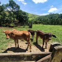 Pousada Sitio Ceu de Estrelas, Paraiso Cinematográfico!! - B&B Cachoeiras de Macacu
