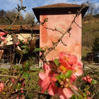 Agriturismo La.Ti.Mi.Da. - B&B Cassine