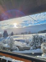 Gästehaus Bartlehof - Bed and Breakfast Schluchsee