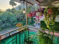 The Hornbill - B&B Bhowāli