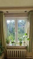 Cozy home - B&B Taskent