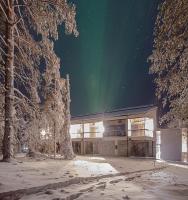 Aavalevi Polar Chalet, Ski-In Ski-Out With Mountain View - B&B
