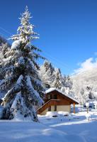 Chalet Presanella - B&B Temù