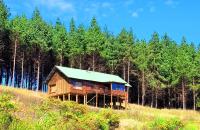Single Story Cabin