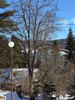 Villa Mavro Mavrovo - Bed and Breakfast