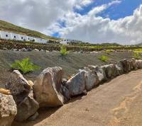 Finca El Pedregal - Suite Olivo - B&B Haría