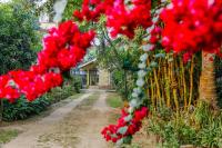 Greenwood Flora - B&B Guwahati