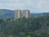 Panoramic - Wanderlust #329 mit Schwimmbad - B&B Hohegeiß