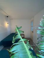 Budget Single Room