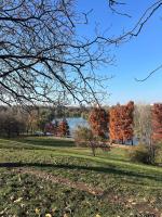 Park Lake View Apartment Tineretului - B&B Bucarest
