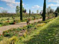 Gîte 5 personnes dans une maison historique avec grand jardin - B&B