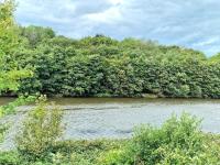 Luxurious and Tranquil Stay by the River - B&B