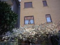 Il giardino dell'Eden 10 - Alloggio Turistico di Barbara C - B&B Roma