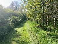 Cowshed - Duffys Ballybin 4-star - B&B Ashbourne