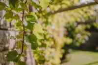 Luisashaus - B&B Tirolo