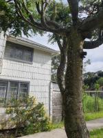 HOSTEL,Lacasablancadeparga a 12 kilómetros de la comuna de Fresia y a 29 kilómetros de la comuna de los Muermos - B&B Fresia