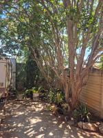 Comfy Home - Bed and Breakfast Kimberley