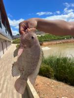 Pousada Várzea Grande - Ferienwohnung Pombos