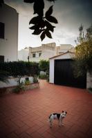 B&B Cico "Grazioso Monolocale" - B&B Santa Marinella