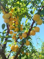 Despertar - B&B Tandil