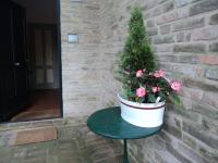 Tweepersoonskamer met 1 of 2 Bedden en Uitzicht op de Tuin