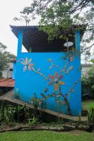 Sobrado da Casa Azul - Penedo - Chambres d’hôtes Itatiaia