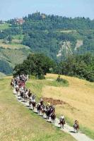 Villetta immersa nel verde - B&B