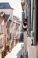 Maison des Cassiers By Les Fleurines - Chambres d’hôtes Villefranche-de-Rouergue