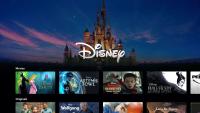 Norsk Skogkatt - BigTV DisneyTV - Chambres d'hôtes Galați