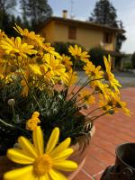 Agriturismo LA CERBANA - B&B