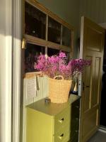 Summerhouse on the way to Vesterålen - B&B Gåra