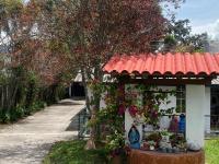 Skema Collections Quito - B&B Quito