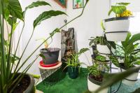 Villa Milice Dace - B&B Petit-Bourg