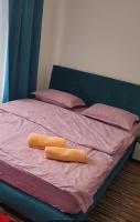 Apartament Cochet Cozy Gara De Nord Metrou - Ferienwohnung Bukarest