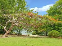 Appartement confortable à Sainte-Luce 50 m² vue mer - B&B Sainte-Luce