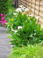 Maison charmante à Cajarc - B&B Cajarc