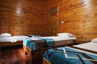 Triple Room with Shared Bathroom